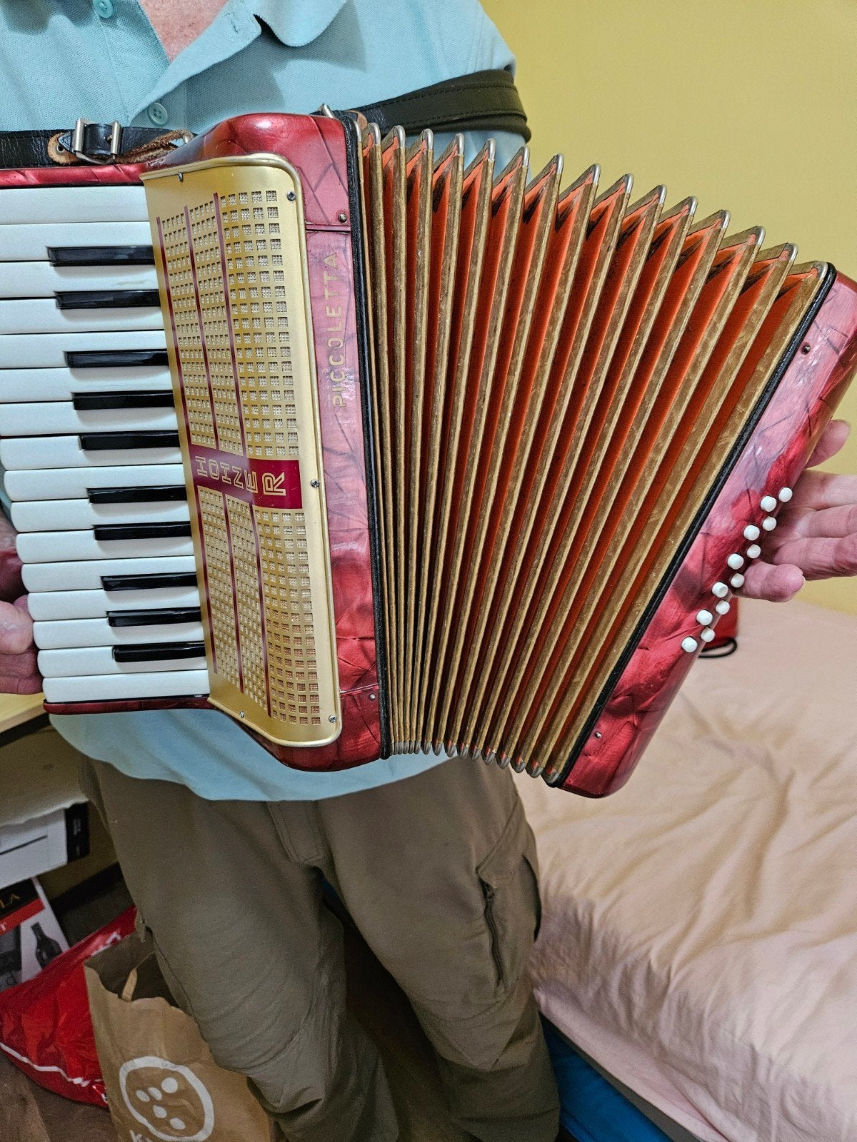 Hohner Picoletta Accordeon 12 bas 26 toetsen, Met riemen, Overige formaten, Zo goed als nieuw, Hohner