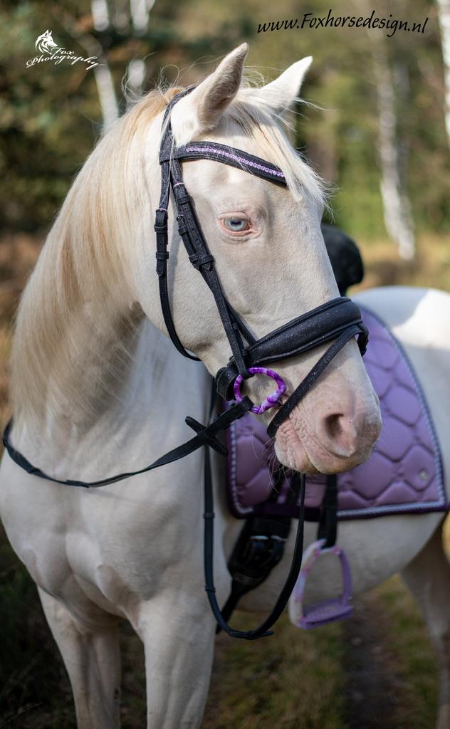 Nieuw! Zwart leren glitter hoofdstellen div maten, Ophalen of Verzenden, Nieuw