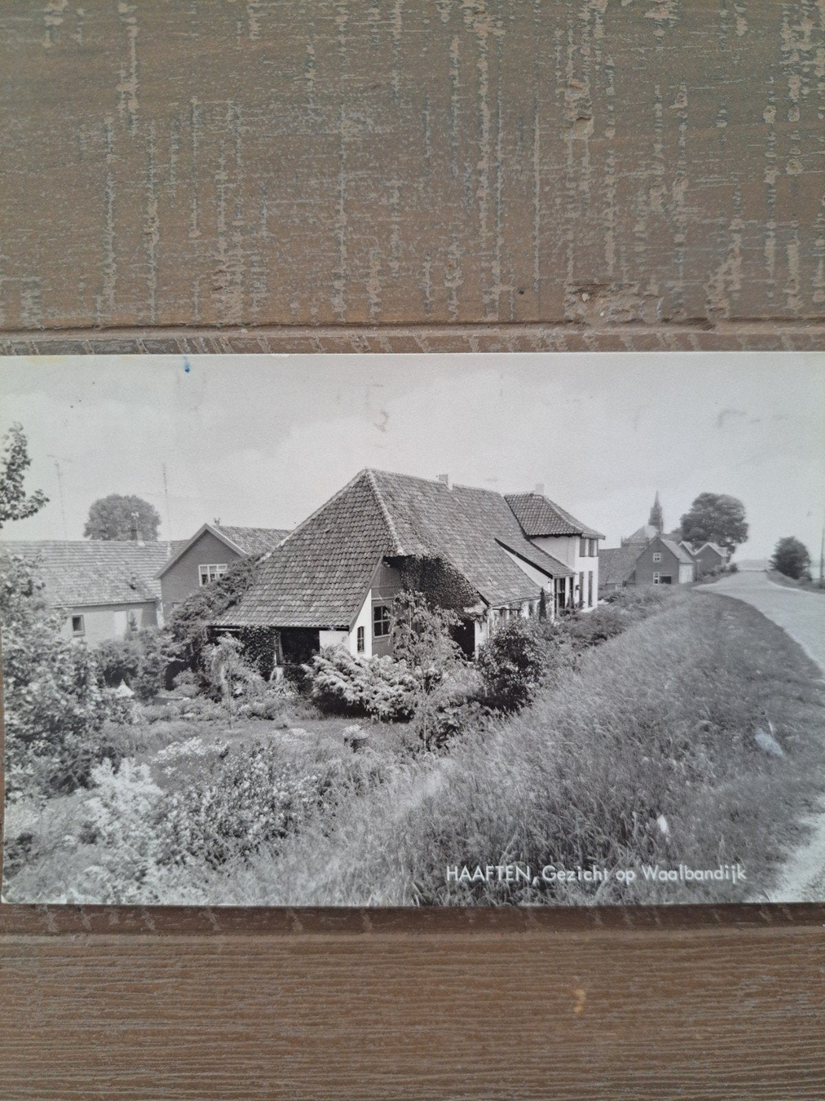 Haaften, Gezicht op Waalbandijk, Ophalen of Verzenden