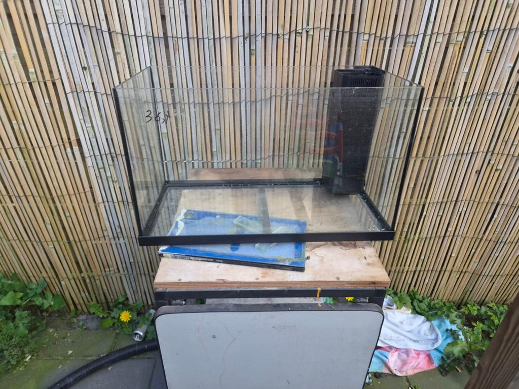 Aquarium 60 cm, Dieren en Toebehoren, Ophalen