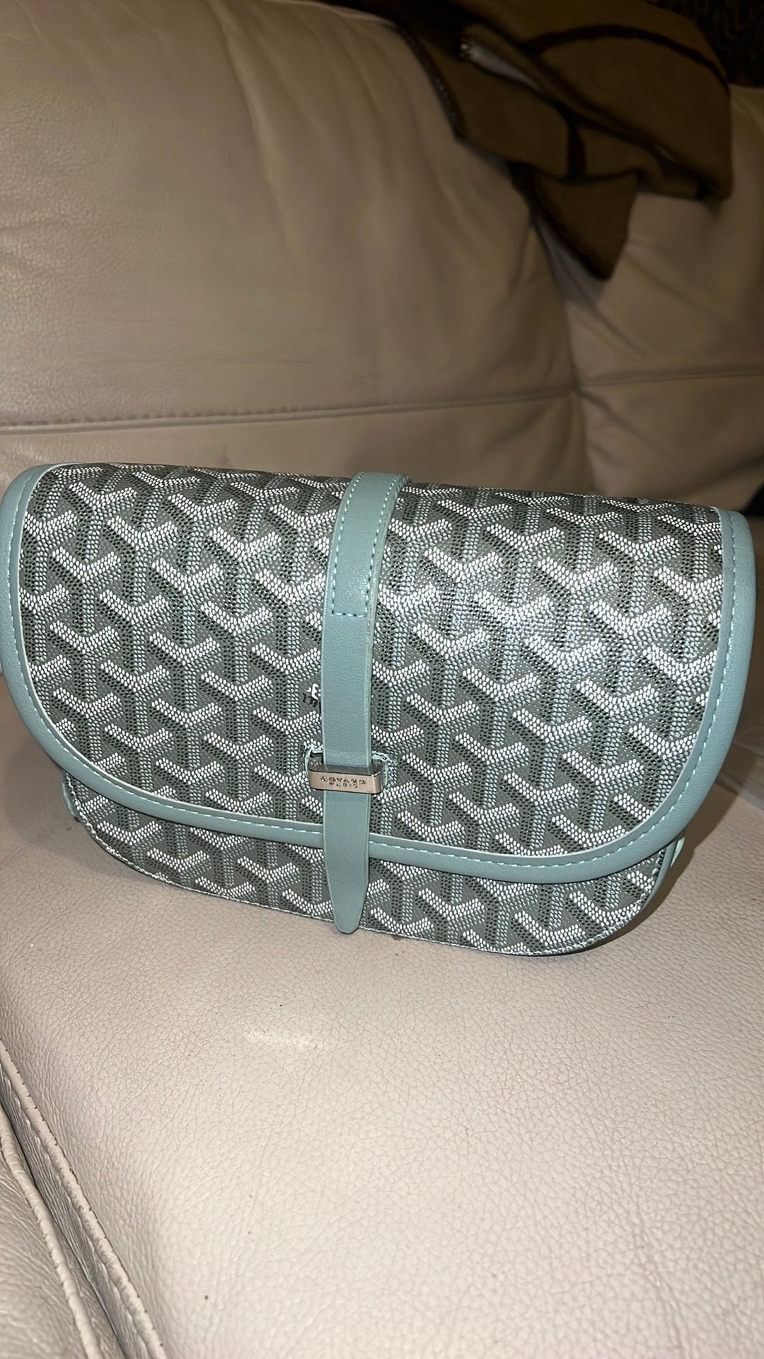Goyard tas, Sieraden, Tassen en Uiterlijk, Tassen | Schoudertassen, Ophalen of Verzenden, Zo goed als nieuw