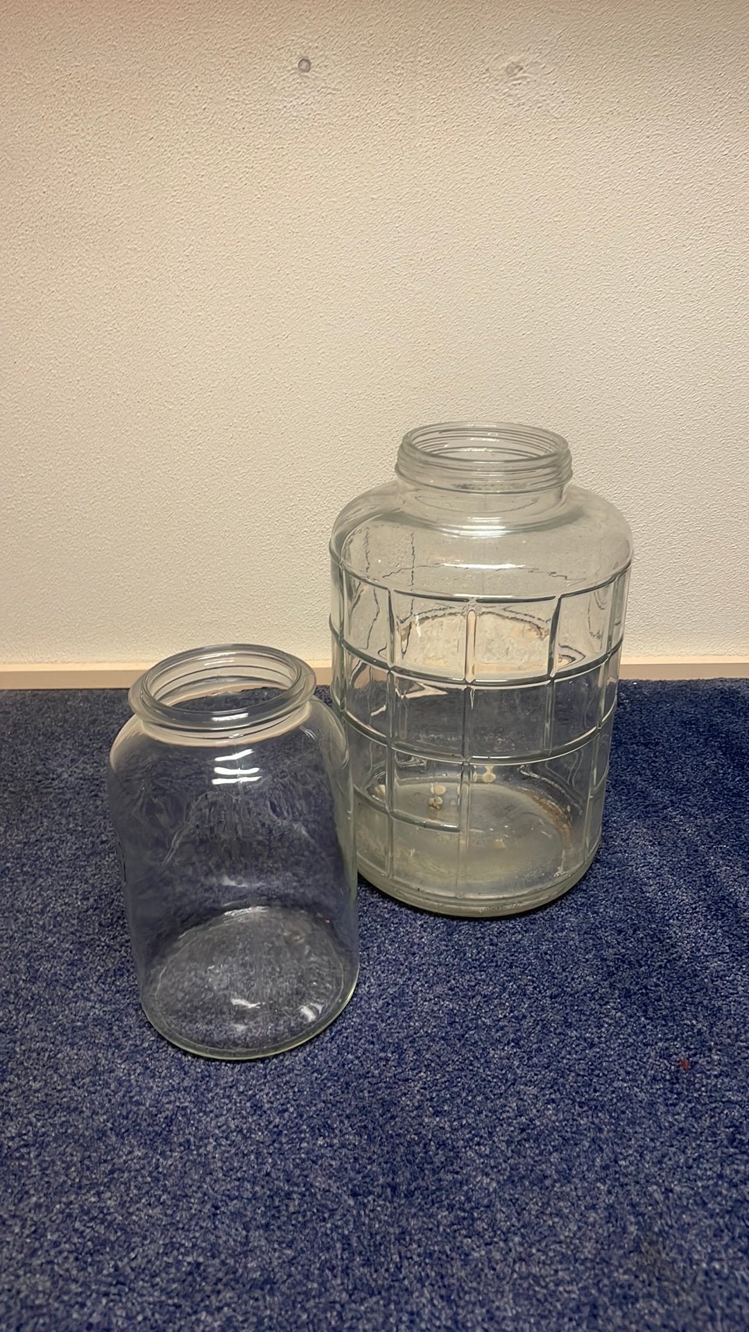 Glazen vazen, Huis en Inrichting, Ophalen, Zo goed als nieuw, Glas, Pot, Bus of Blik