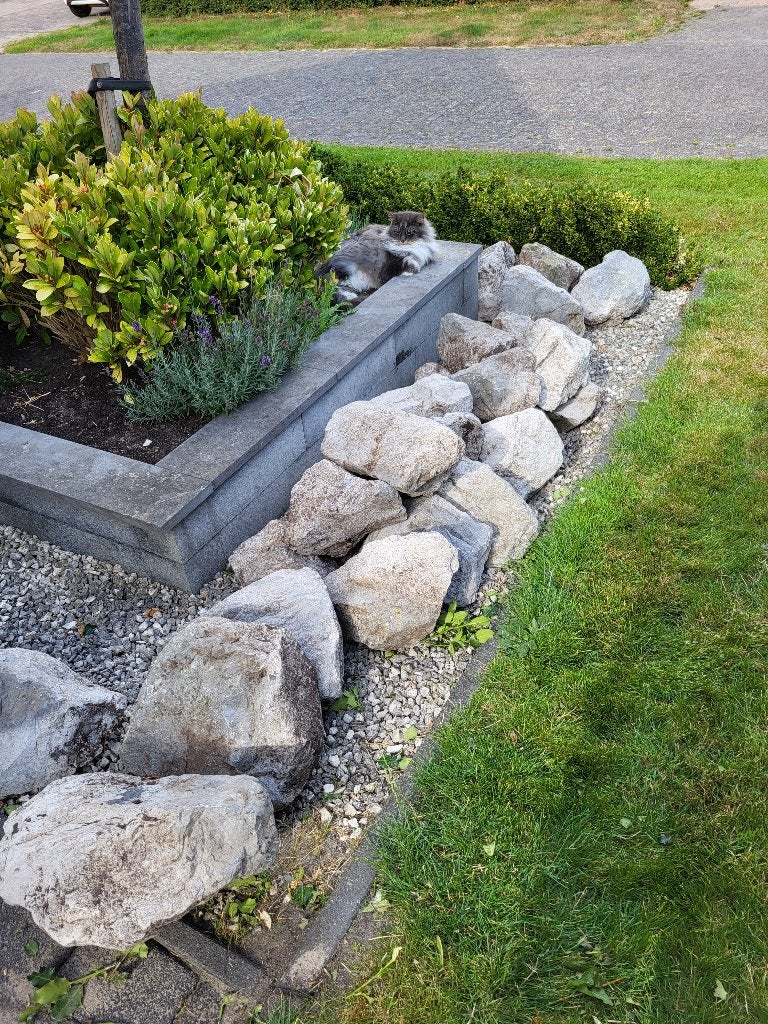 Basaltblokken, Tuin en Terras, Ophalen, Gebruikt, Grijs, Basalt