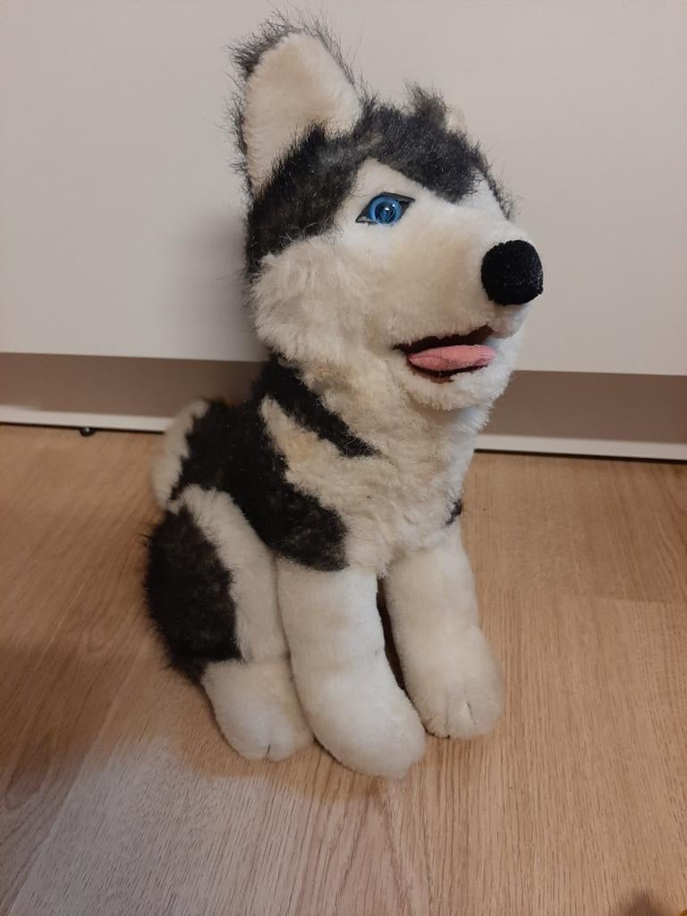 Husky knuffel 36 cm, Ophalen of Verzenden