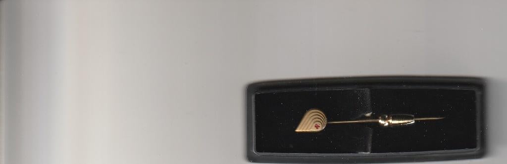 Gouden speld rode kruis, Ophalen of Verzenden, Zo goed als nieuw, Overige onderwerpen, Speldje of Pin