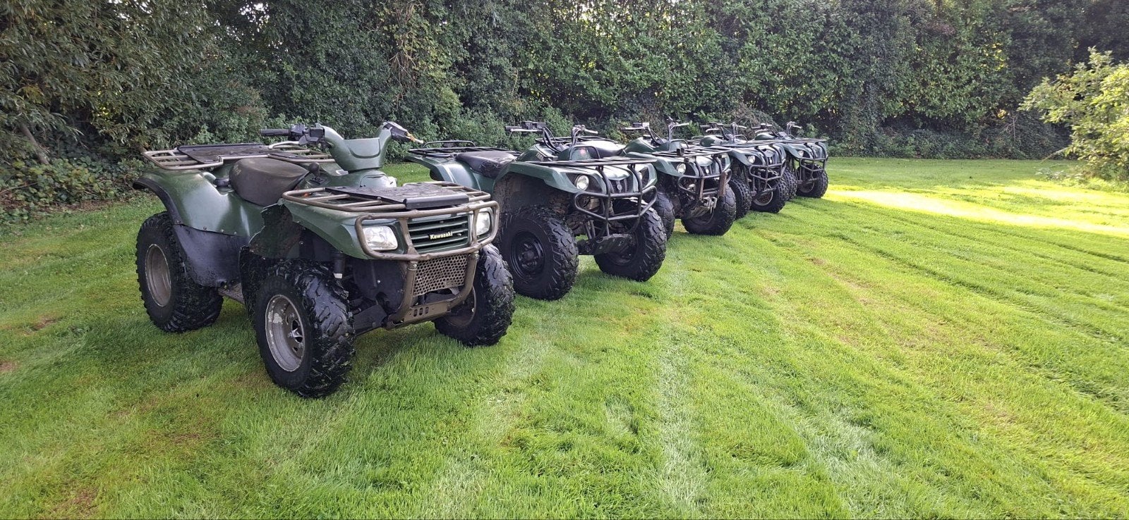 Quads Yamaha Grizzly 250, 350 en kawasaki 650, 650 cc