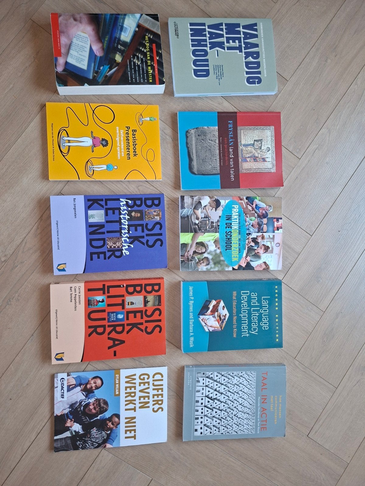 Diverse studieboeken lerarenopleiding Nederlands eerstegraad, Boeken, Ophalen, Alpha, Gelezen, HBO