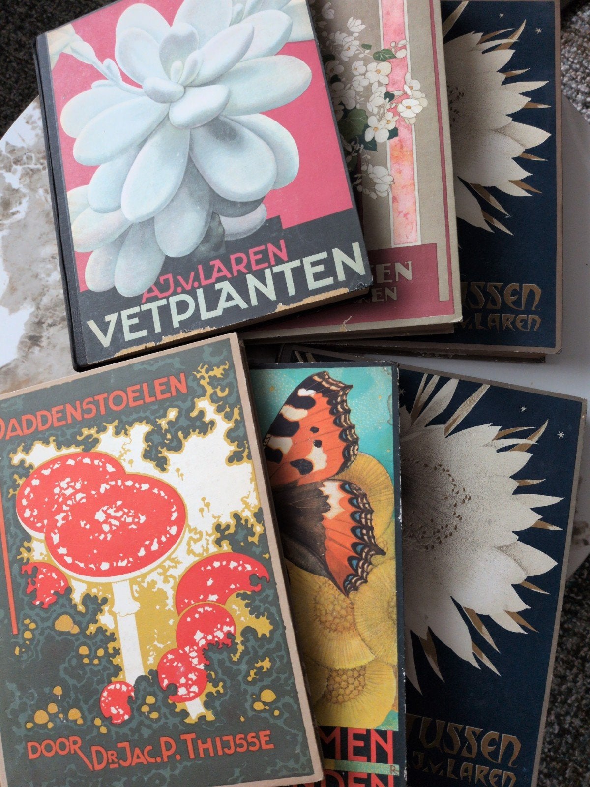 Antieke Verkade albums met complete plaatjes, Ophalen of Verzenden, Gelezen