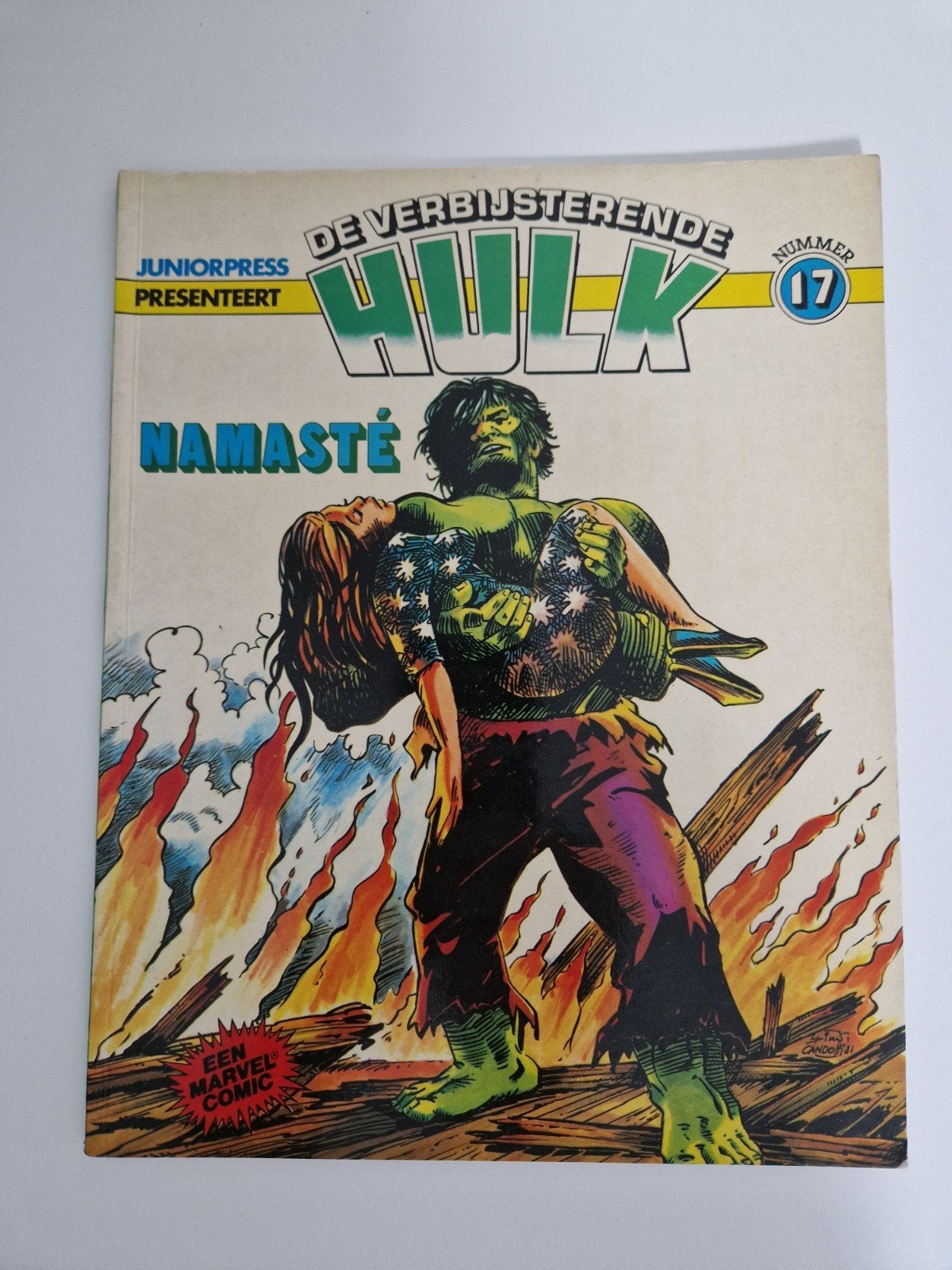 De Verbazingwekkende Hulk - Namasté - Juniorpress, Boeken, Ophalen of Verzenden
