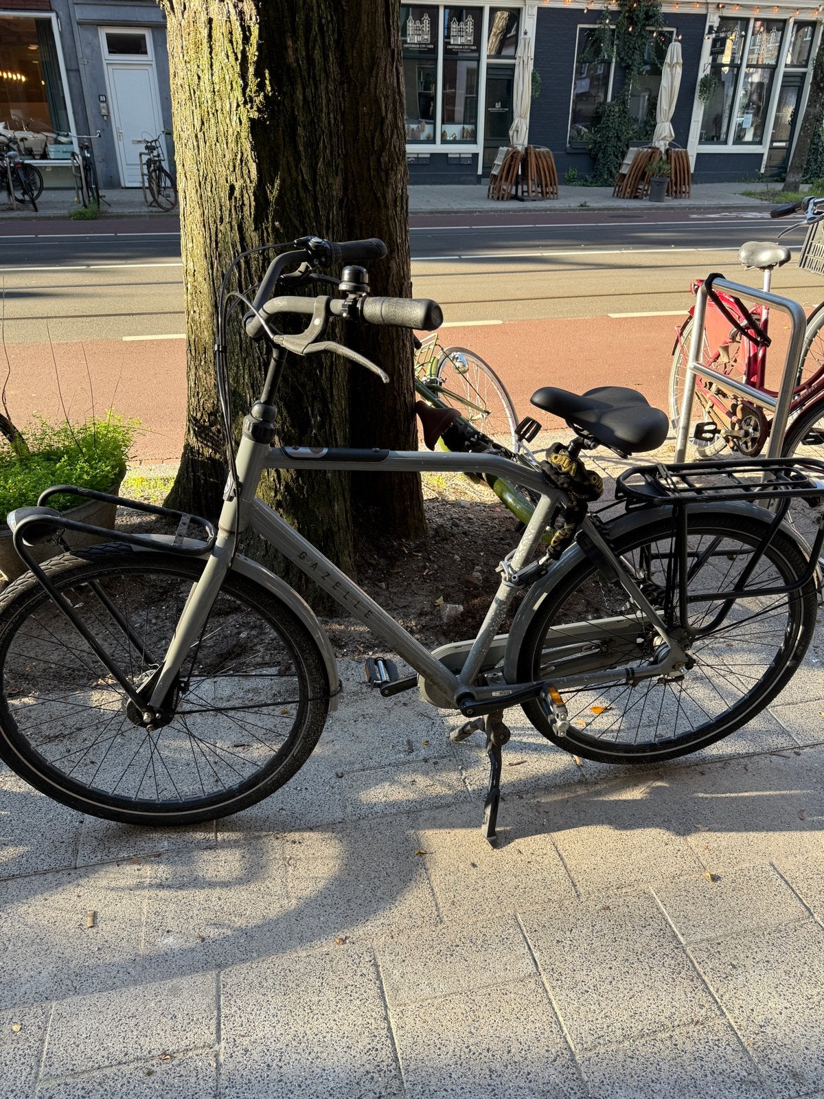 Gazelle Stadsfiets HeavyDutyNL - Grijs, met bagagedragers