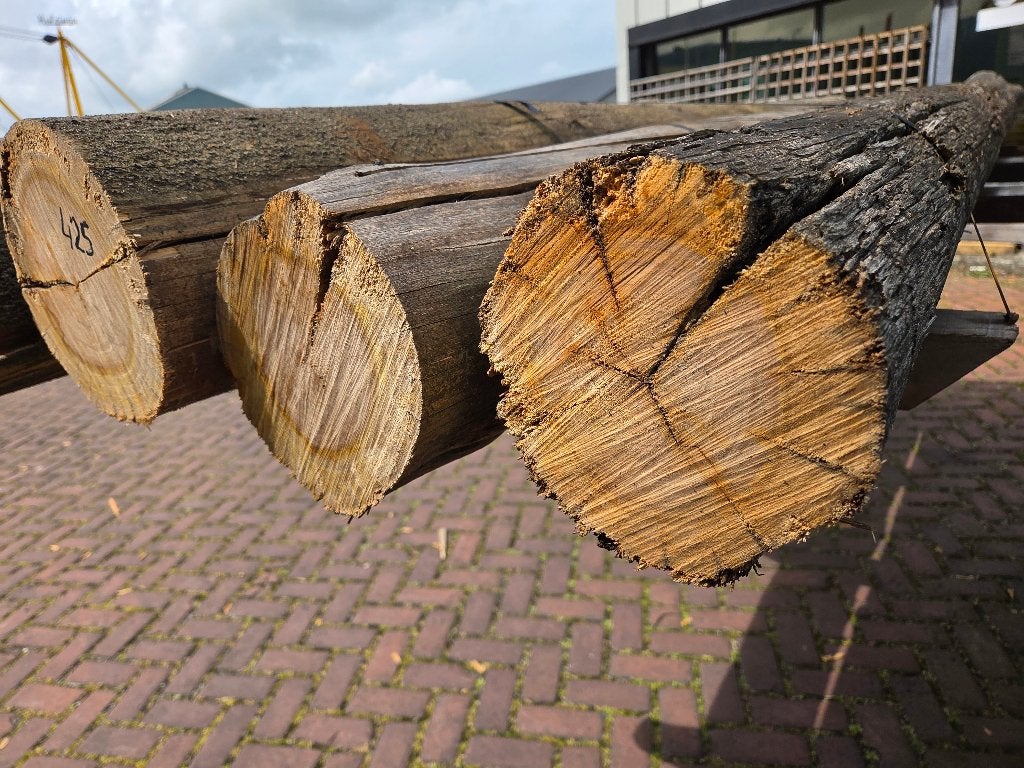 5 Gebruikte hardhouten ronde palen onbehandeld - nr: HB425, Tuin en Terras, Ophalen, Gebruikt, 250 cm of meer, Palen