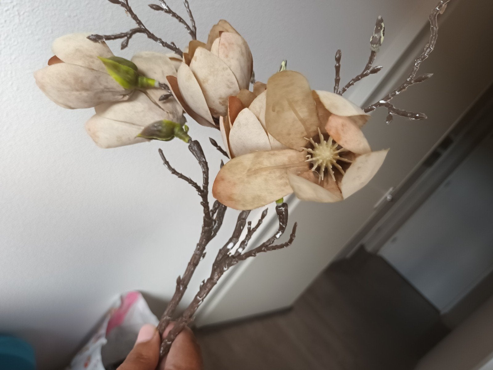 2 Magnolia takken, Ophalen of Verzenden, Zo goed als nieuw
