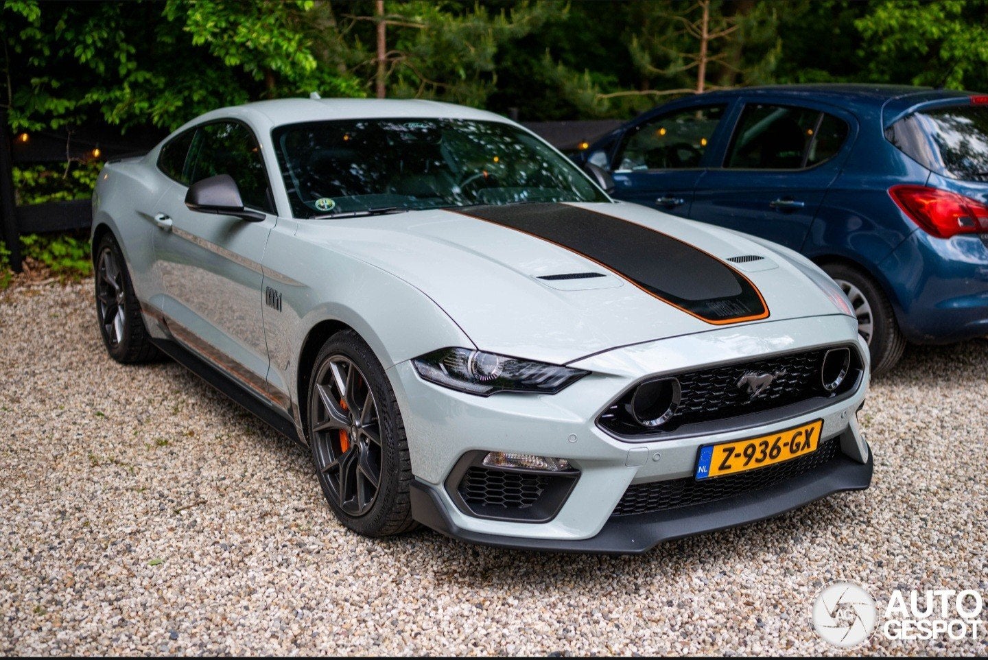 Ford Mustang Mach 1 | 5.0 V8 | 460+pk | glascoating |, Auto's, Ford, Automaat, Achterwielaandrijving, 460 pk, 4 stoelen