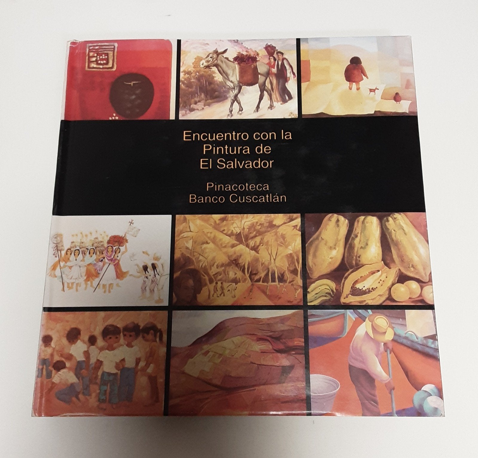 Kunstboek Encuentro con la Pintura de El Salvador 1997, Roberto Huezo, Ophalen of Verzenden, Zo goed als nieuw, Schilder- en Tekenkunst