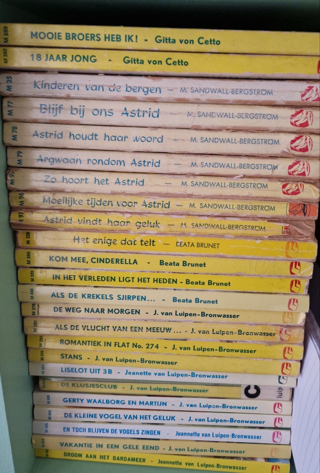 Diverse Witte Raven meisjesboeken - per stuk, Ophalen of Verzenden, Gelezen, Fictie