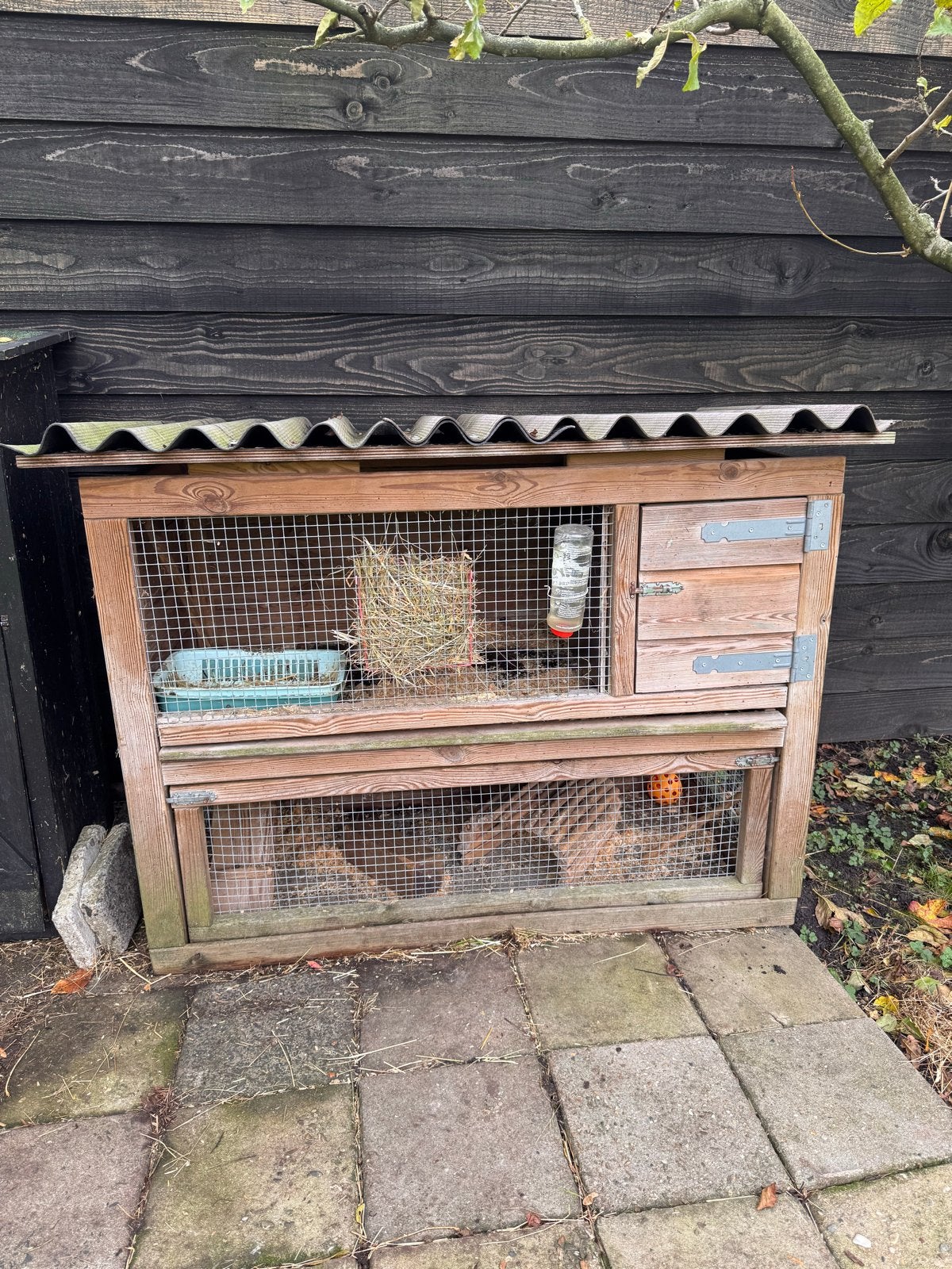 Konijn plus hok, opberghok, ren en transporter, Ophalen, Gebruikt, 60 tot 90 cm, Konijn