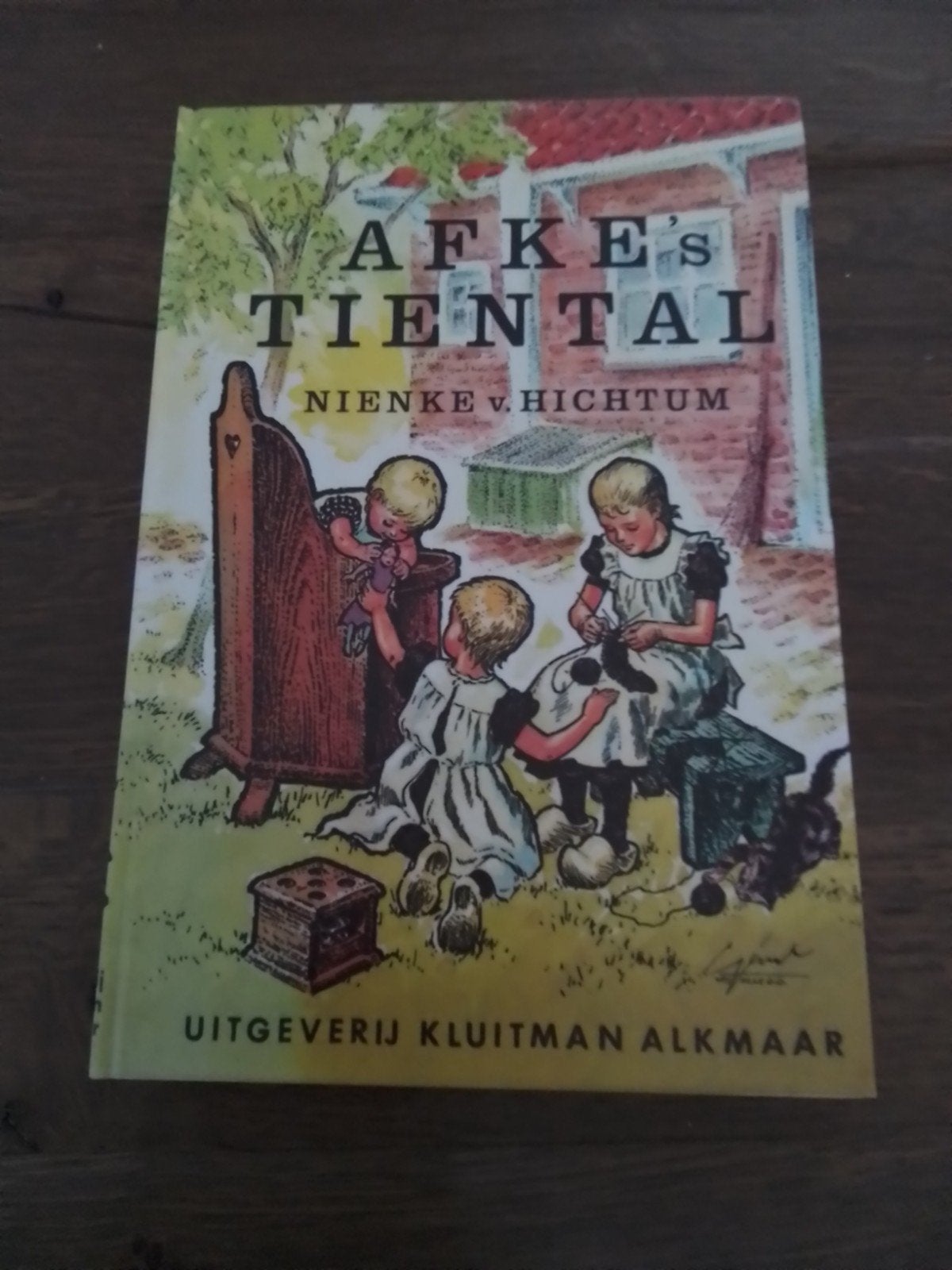 Afke's Tiental - Nienke van Hichtum (Kluijtman Alkmaar), Boeken, Ophalen, Gelezen, Nienke van Hichtum, Fictie algemeen