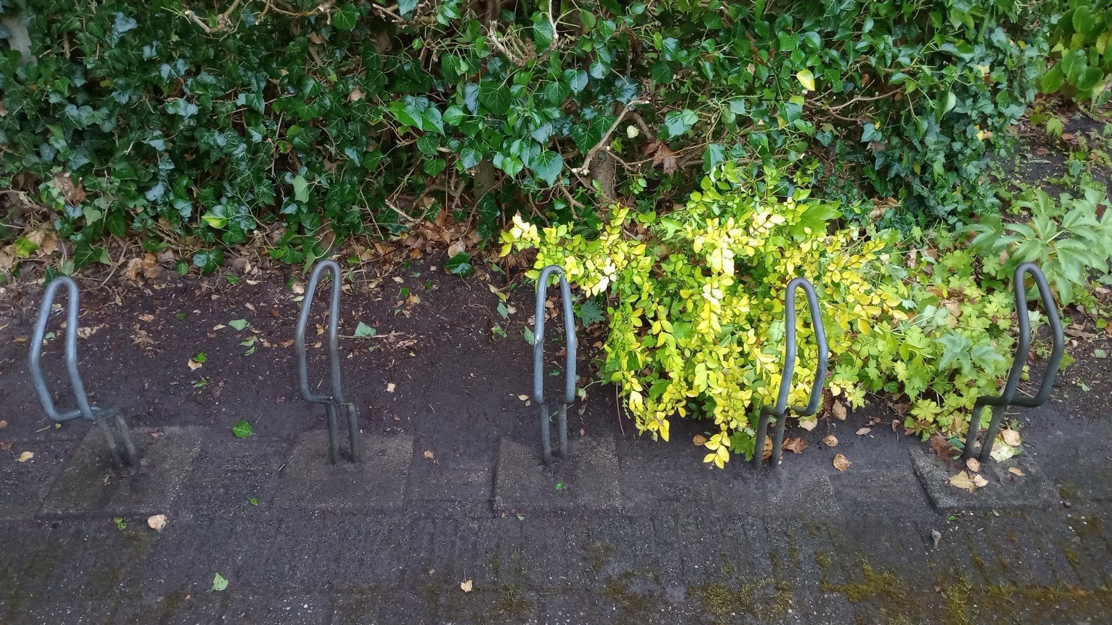 Fietsenrek voor buiten - 5 plaatsen, Ophalen, Gebruikt