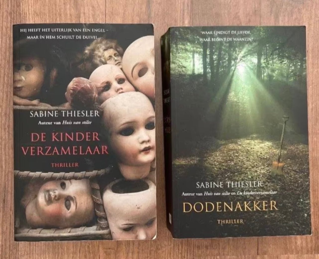 Thrillers Sabine Thiesler: De Kinderverzamelaar & Dodenakker, Boeken, Ophalen of Verzenden, Zo goed als nieuw, Amerika