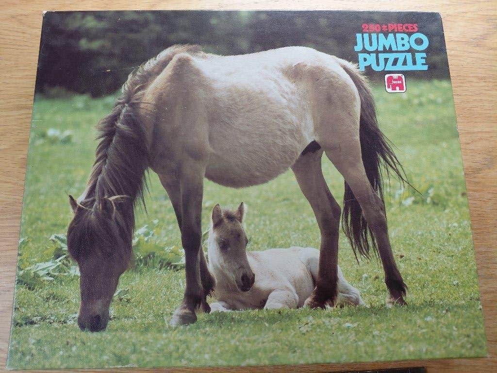 Paardenpuzzel 250 stukjes, Ophalen of Verzenden, Meer dan 50 stukjes, Zo goed als nieuw, 6 jaar of ouder