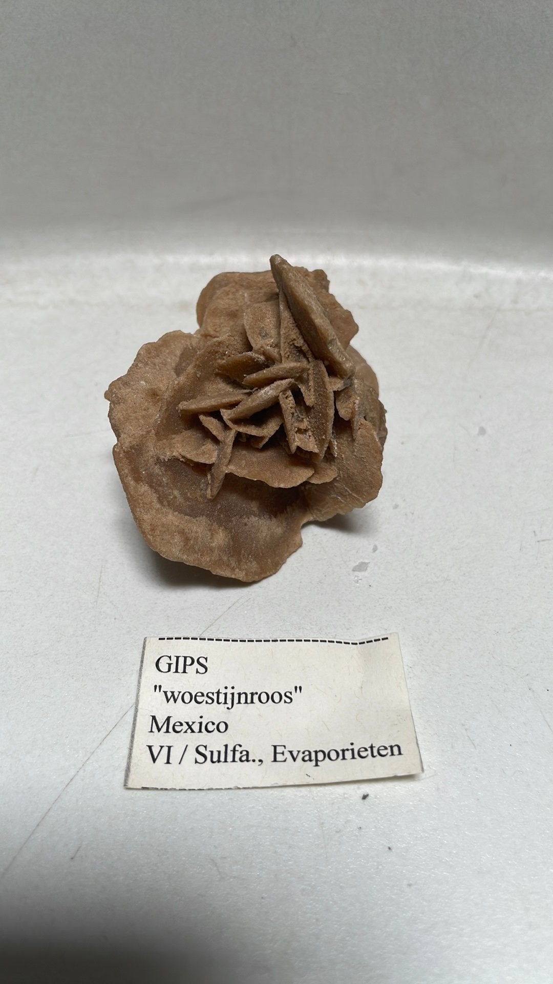 Gips mineraal - Woestijnroos uit Mexico (8 cm breed), Verzamelen, Mineralen en Fossielen, Ophalen of Verzenden, Mineraal