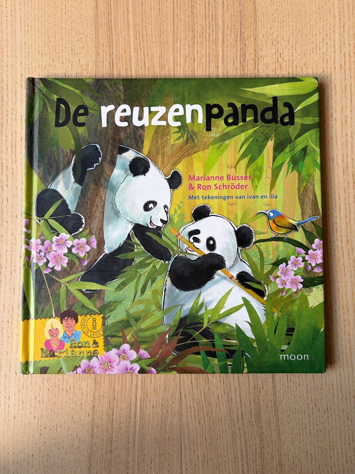 De reuzenpanda - Kinderboek over panda's, Non-fictie, Jongen of Meisje, Ophalen of Verzenden, Zo goed als nieuw