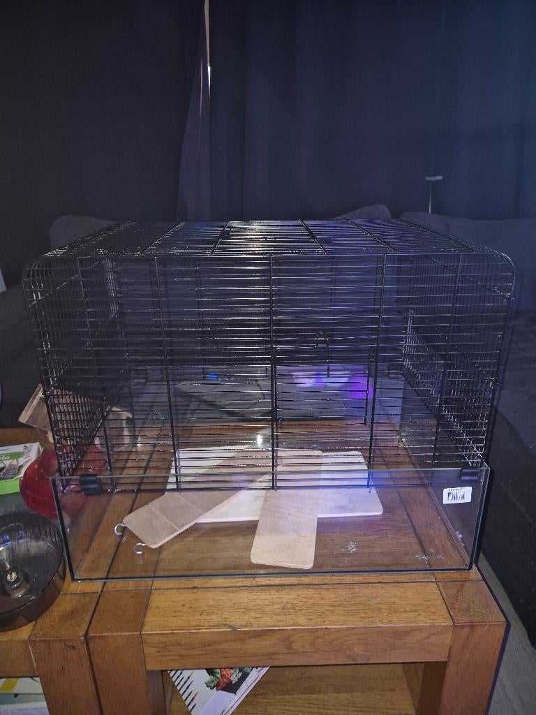 Hamterkooi, Dieren en Toebehoren, Knaagdieren en Konijnen | Hokken en Kooien, Kooi, Minder dan 75 cm, Ophalen, Minder dan 60 cm