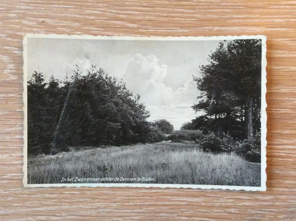 Gieten, In het Zwanenmeer achter de Dennen, Verzamelen, Ansichtkaarten | Nederland, Ophalen of Verzenden, 1940 tot 1960, Gelopen