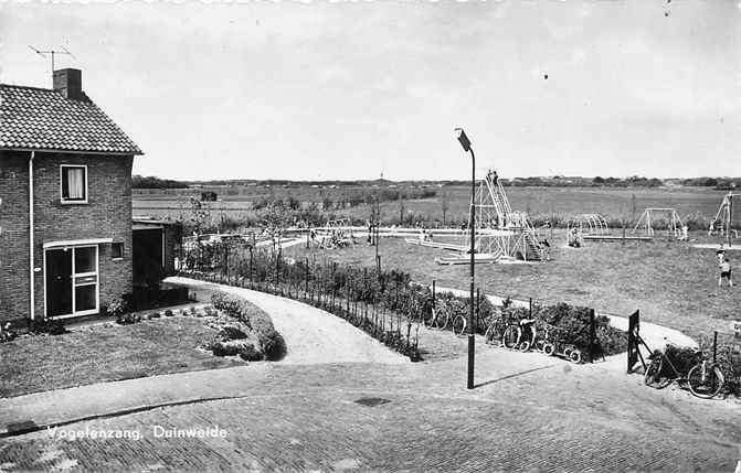 301-145-045 Vogelenzang Duinweide, Verzenden, Voor 1920, Noord-Holland