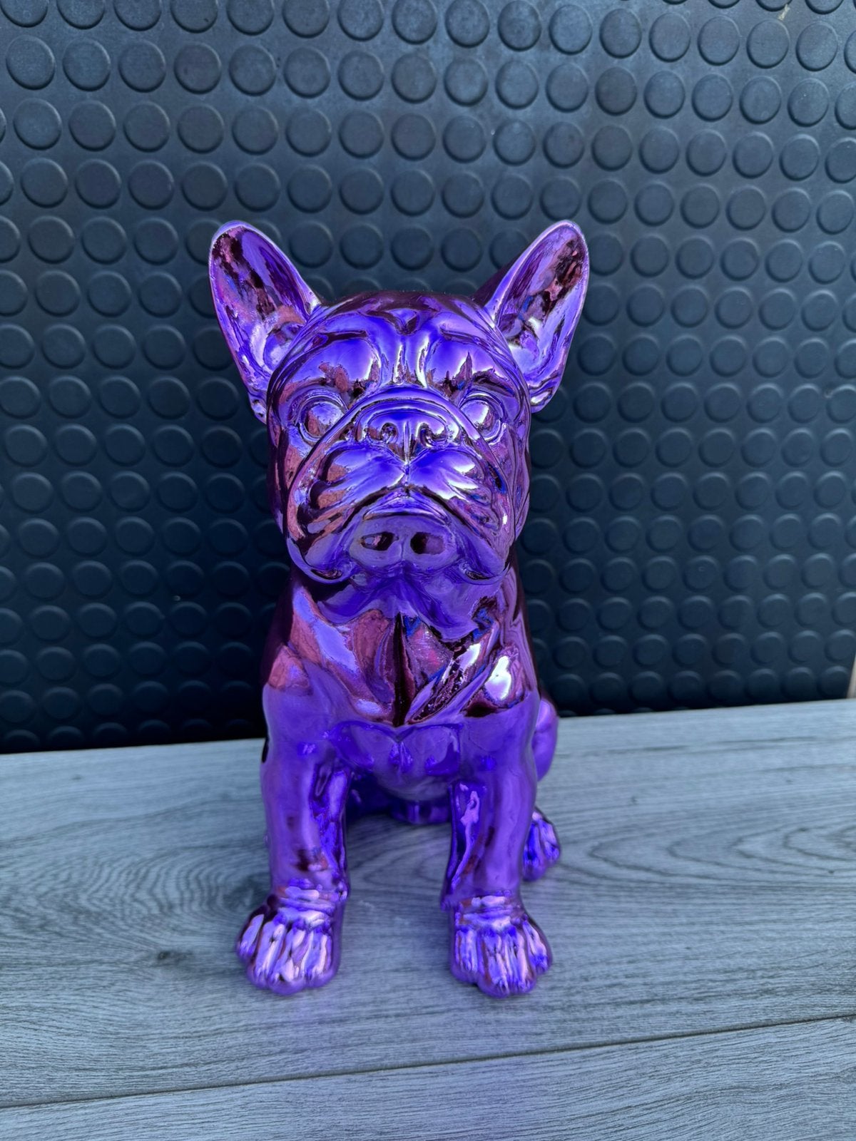 bulldog (chrome) 30hoog 15breed/Nieuw!, Ophalen of Verzenden, Nieuw, Dier