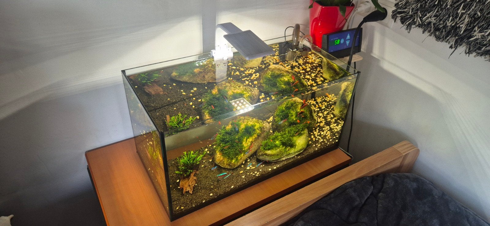 aquarium icl veel techniek en inhoud, Ophalen