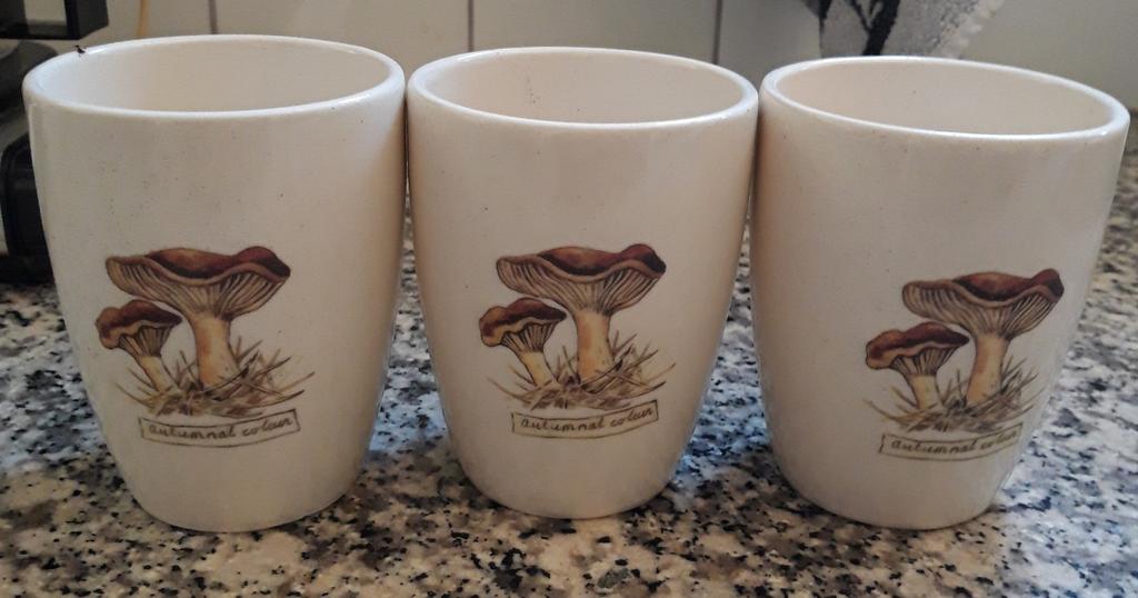 3 bekers autumnal coleur Jet ter Steege, Ophalen, Gebruikt, Overige stijlen, Kop(pen) en/of Schotel(s)
