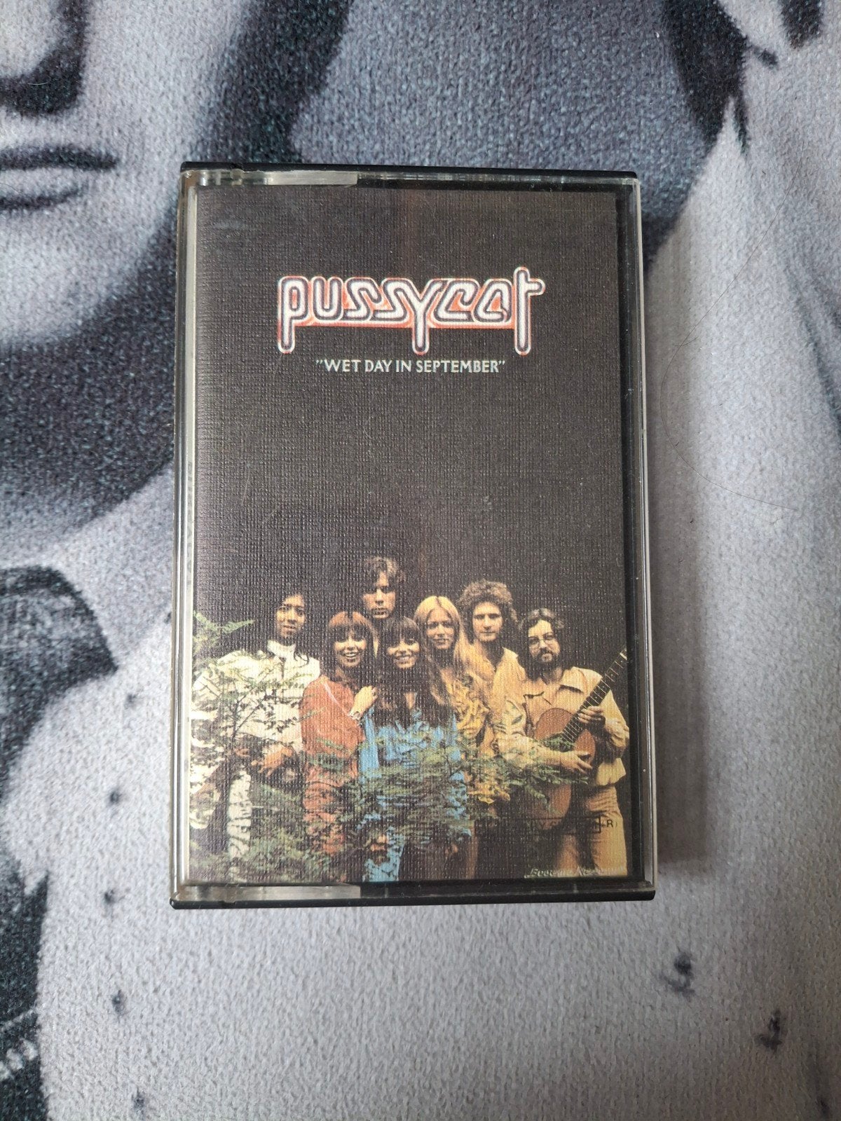 Cassette bandje Pussycat, Cd's en Dvd's, Cassettebandjes, Ophalen of Verzenden, Gebruikt, Pop, 1 bandje