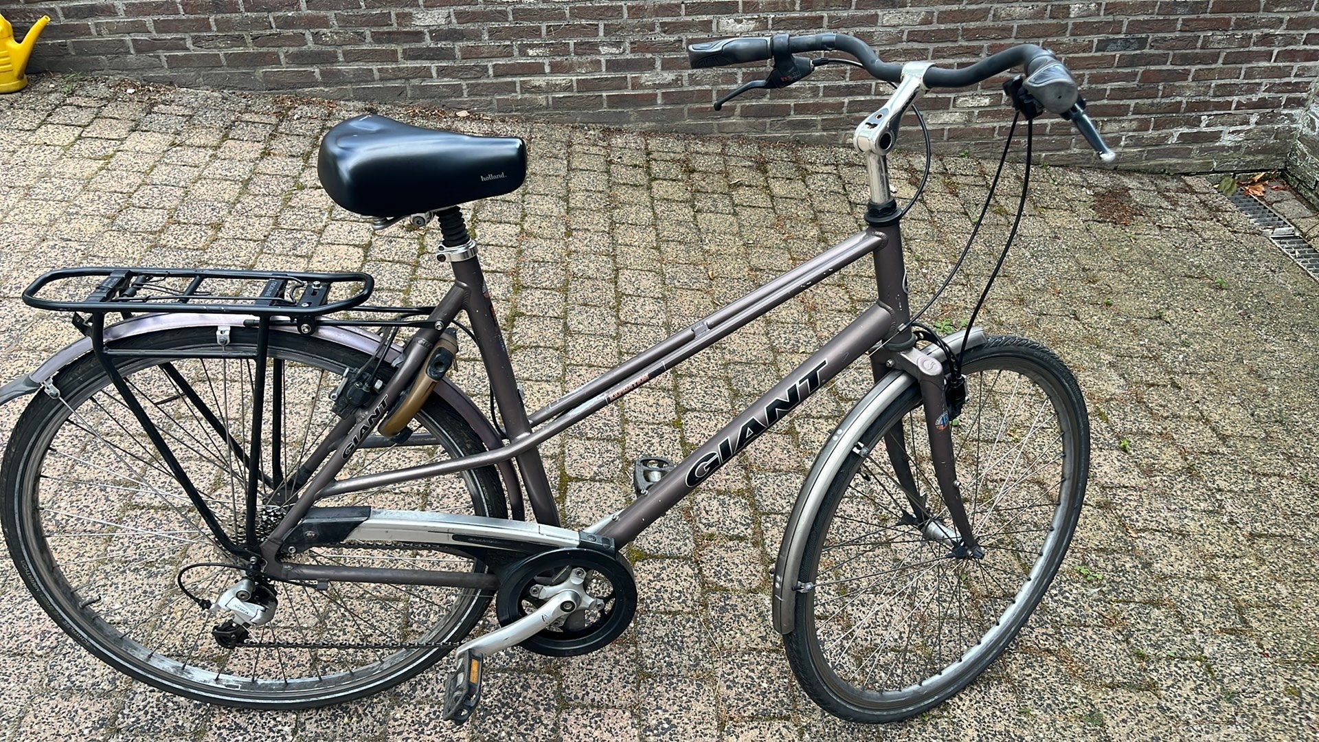 Giant expedition damesfiets, nieuwe ketting en cassette, Ophalen, Gebruikt, Velgrem, Minder dan 10 versnellingen