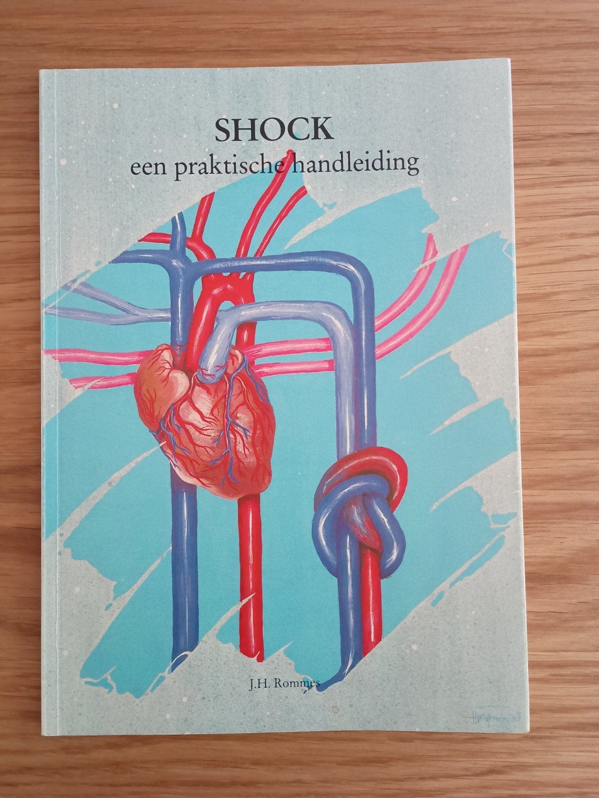 Shock, een praktische handleiding, J.H. Rommes, Verzenden, Beta, Zo goed als nieuw, HBO