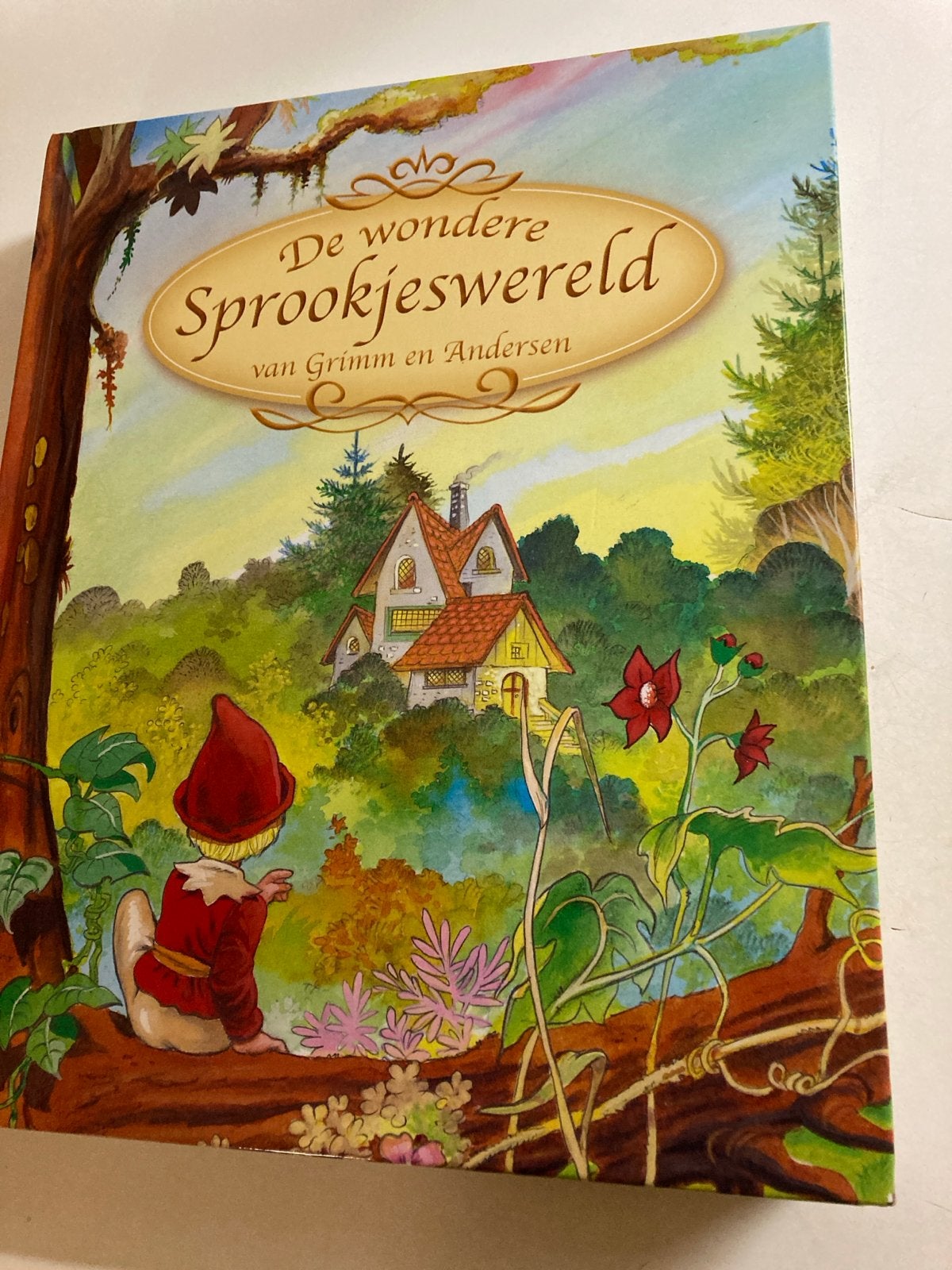 De Wondere Sprookjeswereld van Grimm en Andersen, Ophalen of Verzenden, Gelezen