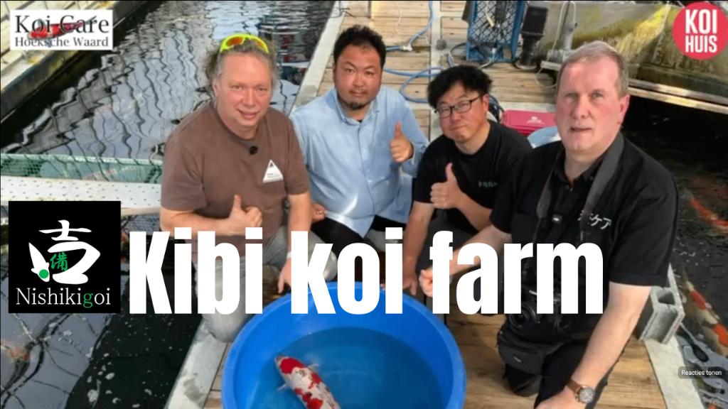 Japanse koi, Karper of Koi