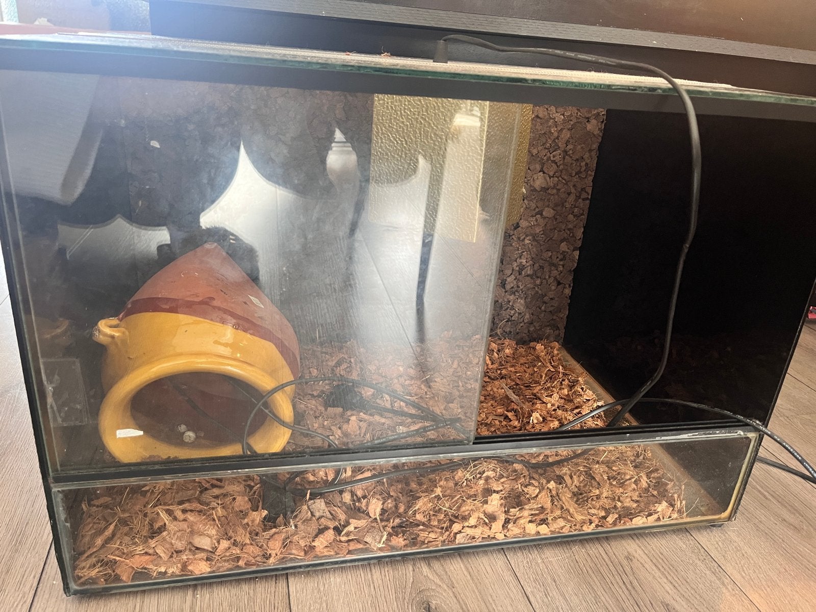 Terarium, Dieren en Toebehoren, Ophalen, Gebruikt