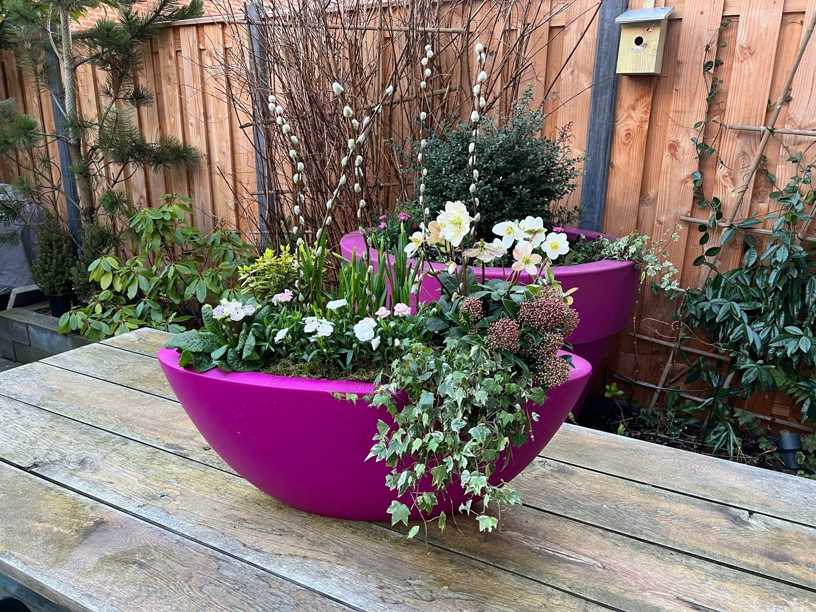 Elho Design plantenbak ovaal – Fuchsia 80x30cm, Ophalen, Zo goed als nieuw, Kunststof, Tuin