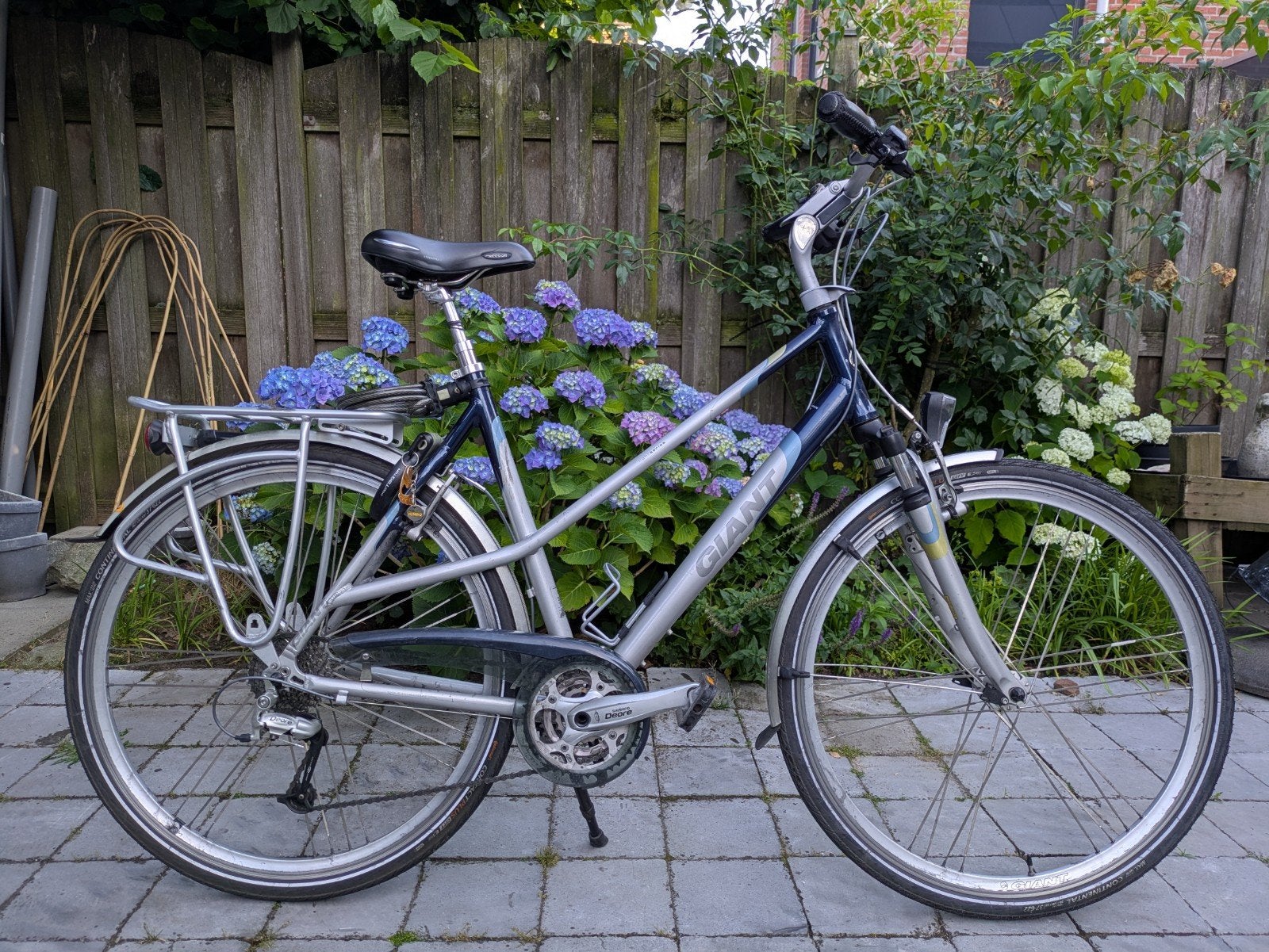 Giant Freerider SP Damesfiets, Fietsen en Brommers, Fietsen | Dames | Damesfietsen, Ophalen, Gebruikt, Velgrem, Versnellingen