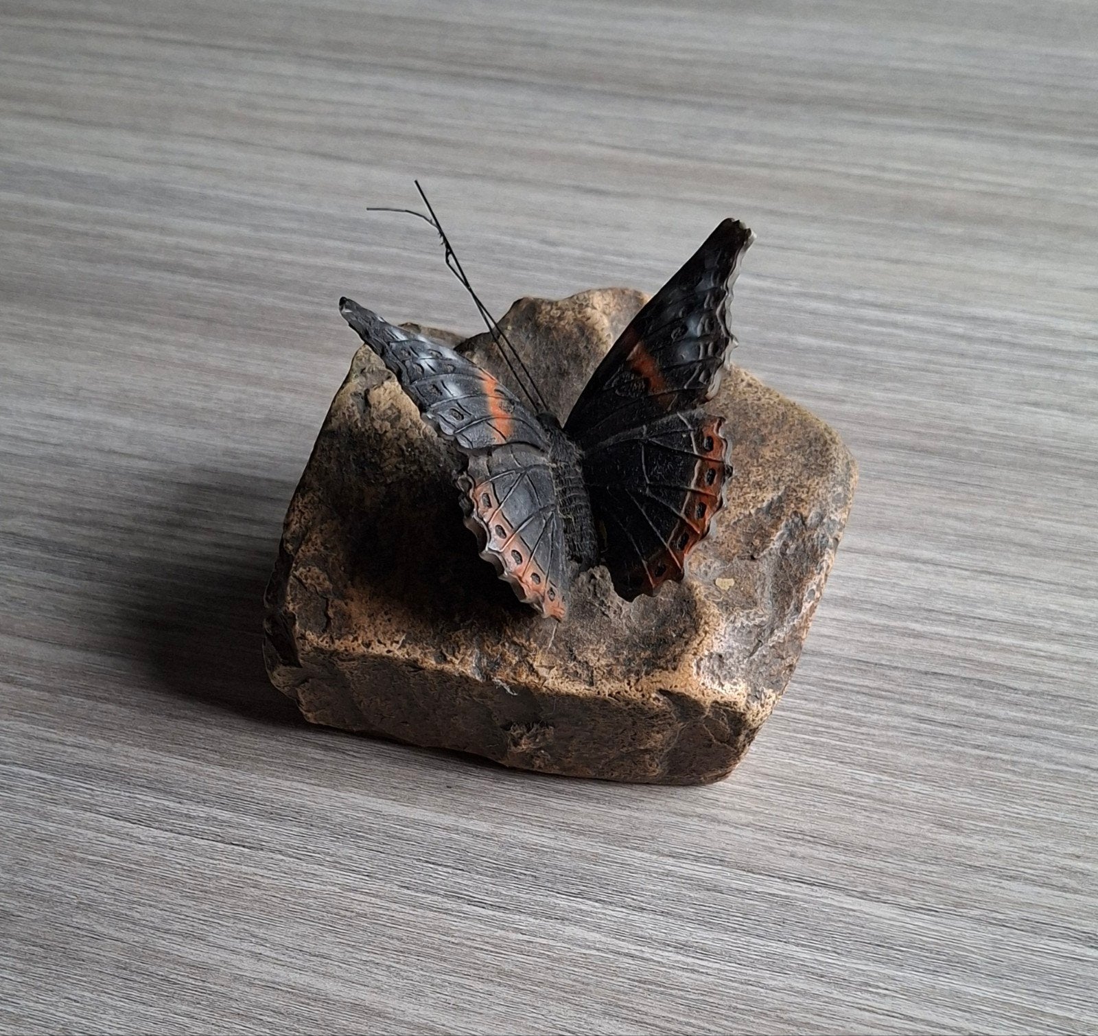 Unieke handgemaakte vlinder op steen sculptuur, Overige onderwerpen, Minder dan 20 cm, Ophalen of Verzenden, Handgemaakt