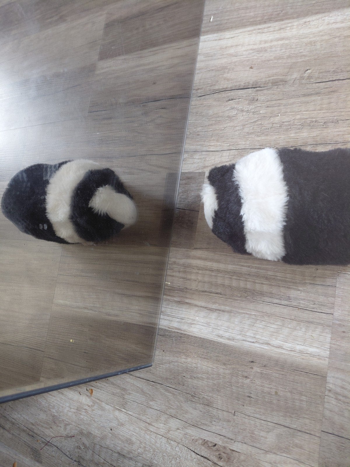 Zwart-wit knuffel cavia - Zo goed als nieuw, Overige typen, Zwart, Ophalen of Verzenden, Zo goed als nieuw