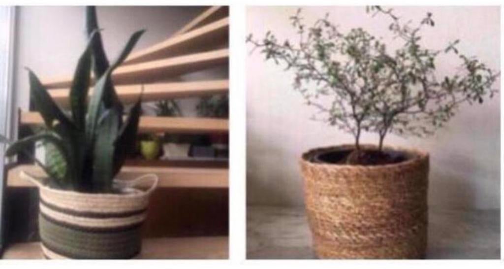 Leuke manden grasmand handwerk biologische planten, Kunststof, Rond, Binnen, Ophalen of Verzenden