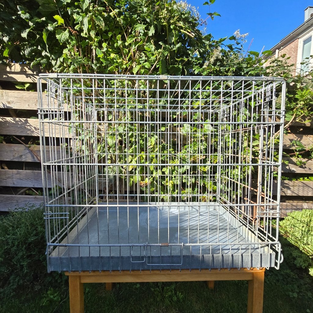(Honden) Bench 80x55x55 cm, opvouwbaar, Ophalen, Gebruikt