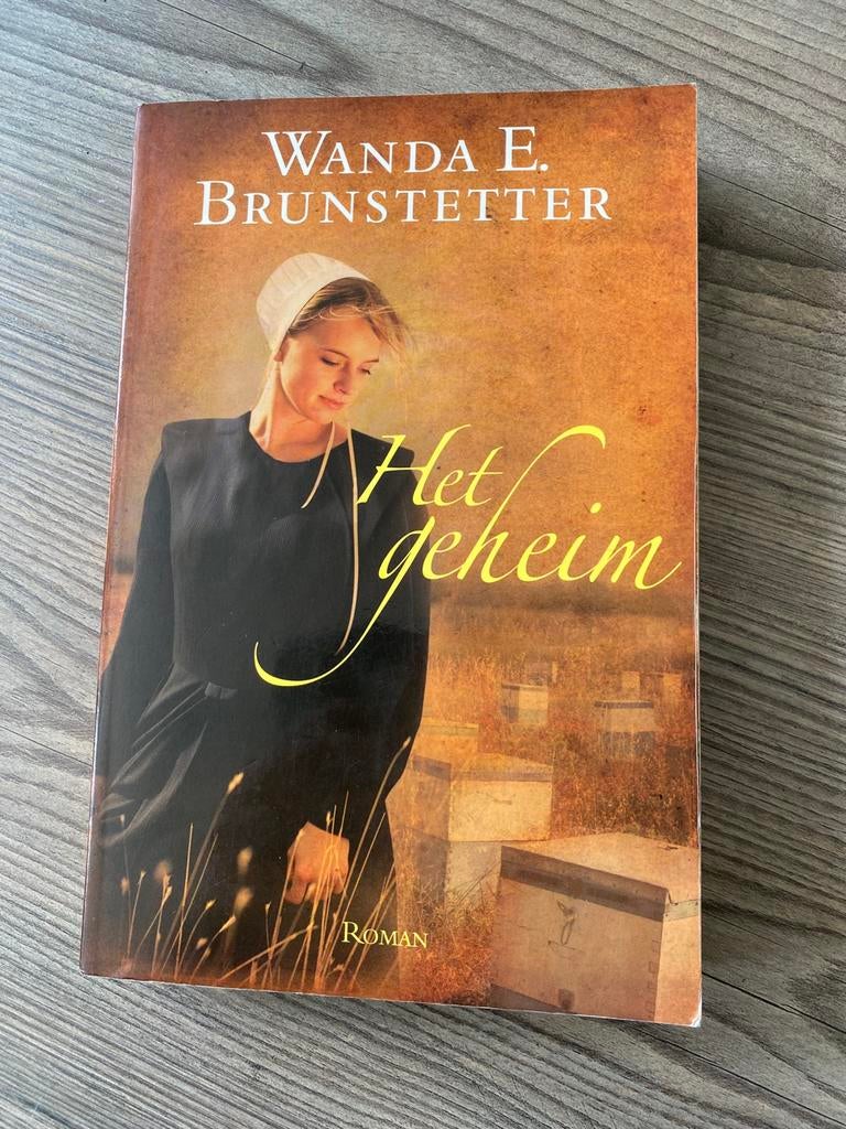 Wanda E. Brunstetter - Het geheim, Ophalen of Verzenden, Gelezen, Wanda E. Brunstetter