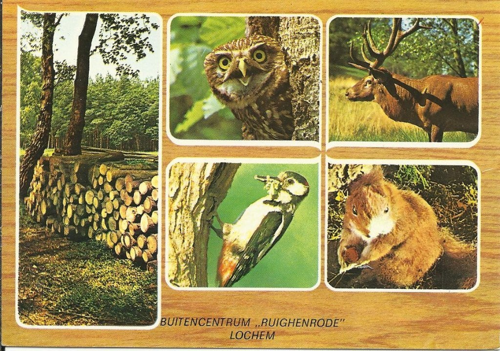 Lochem    1012a, Ophalen of Verzenden, Voor 1920, Gelderland