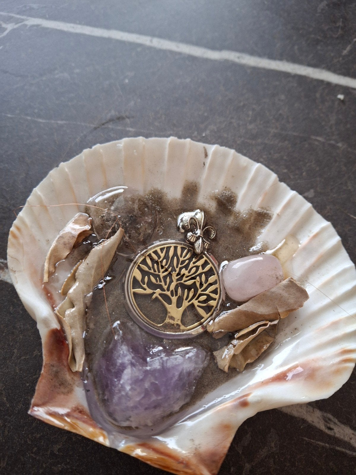 Decoratieve Schelp, orgone met Levensboom Hanger en Edelsten, Ophalen of Verzenden, Nieuw, Steen of Mineraal