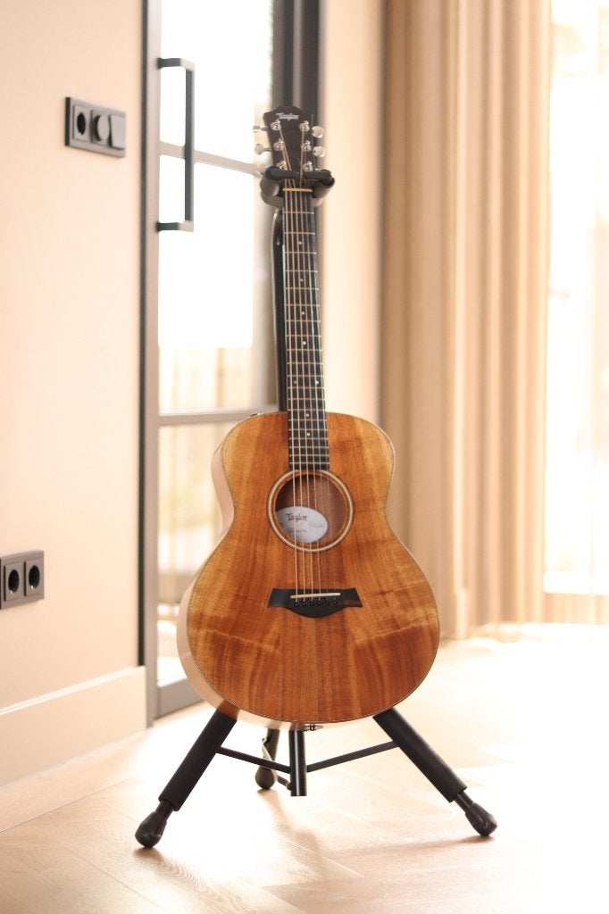Taylor GS-mini, Ophalen, Gebruikt, Western- of Steelstringgitaar, Met (piezo-)element