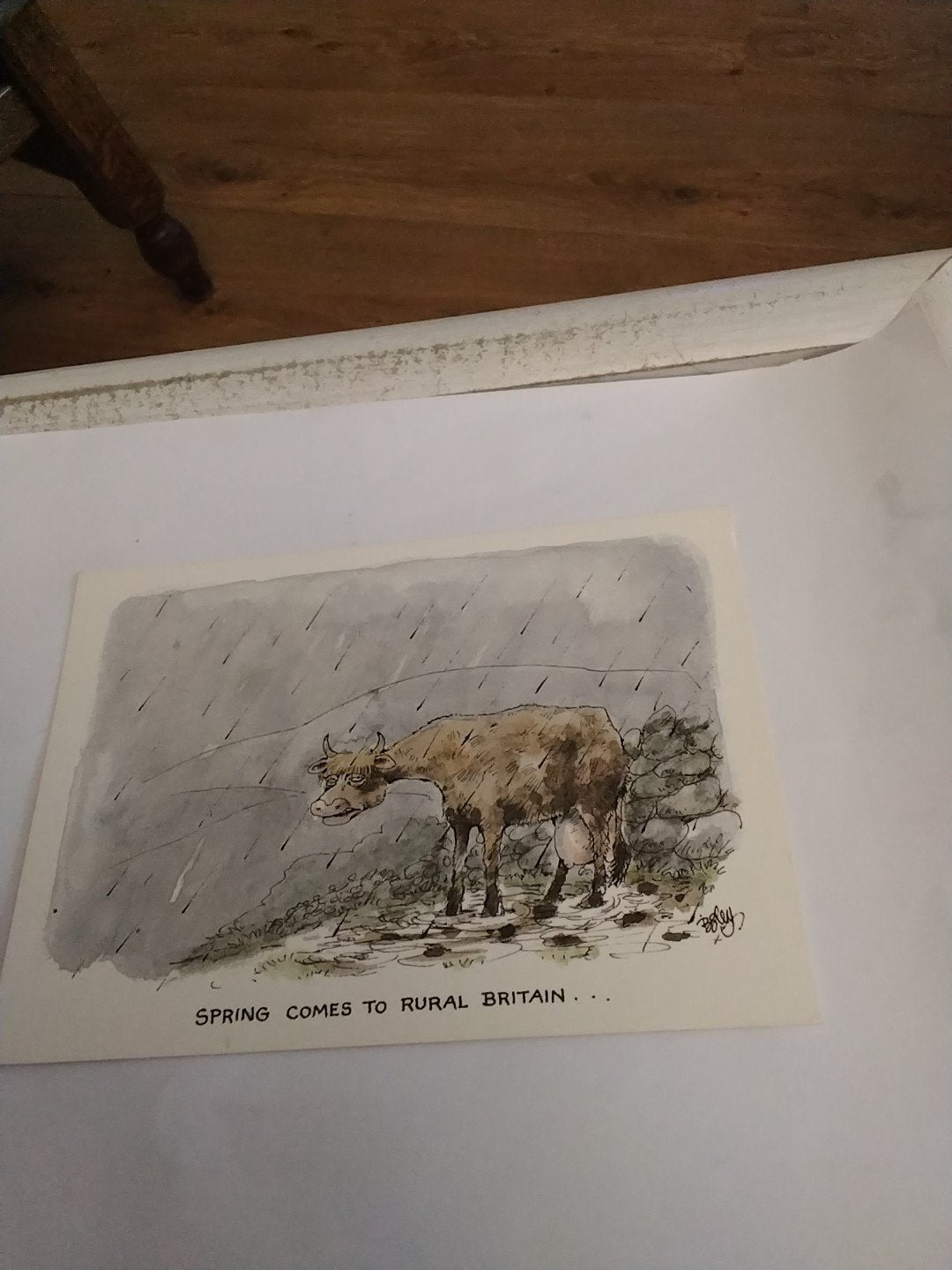 Vintage Ansichtkaart: 'Spring Comes to Rural Britain' BESLEY, Ophalen of Verzenden