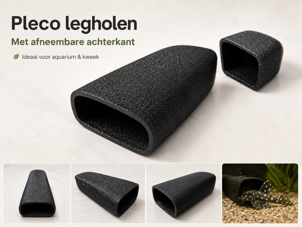 Legholen speciaal, Dieren en Toebehoren, Vis, Zoetwatervis